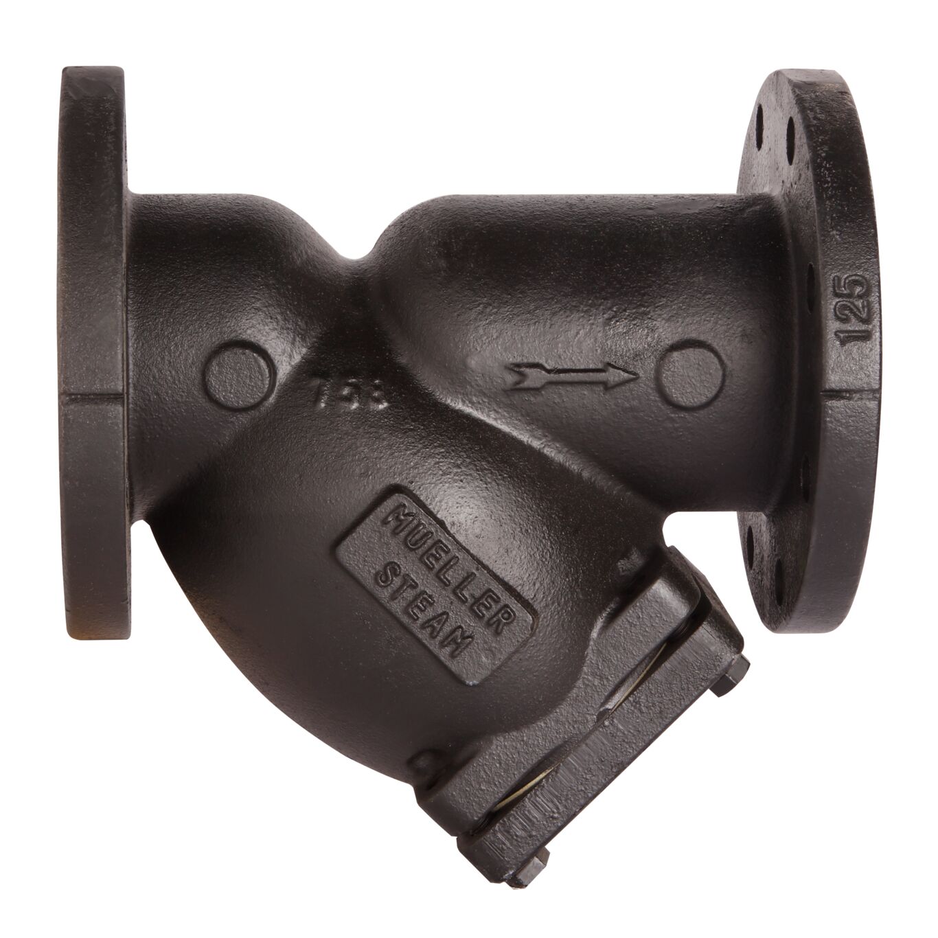CI Y Strainer, Flanged Class 125