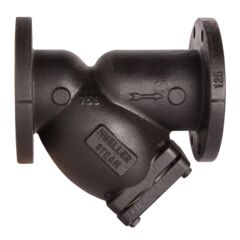 CI Y Strainer, Flanged Class 125