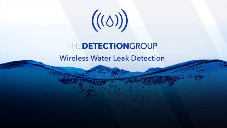 The Detection Group