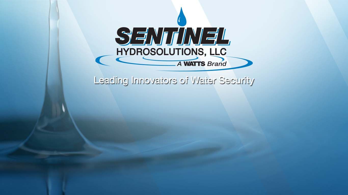 WEB_Sentinel_banner
