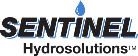 Sentinel logo_no brand