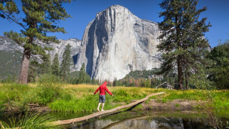 Man in the forest, wearing a red jacket and blue shorts walking across a lake on a log, with a large mountain in the background.