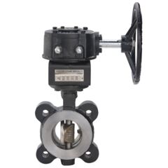 High Performance Butterfly valve open view