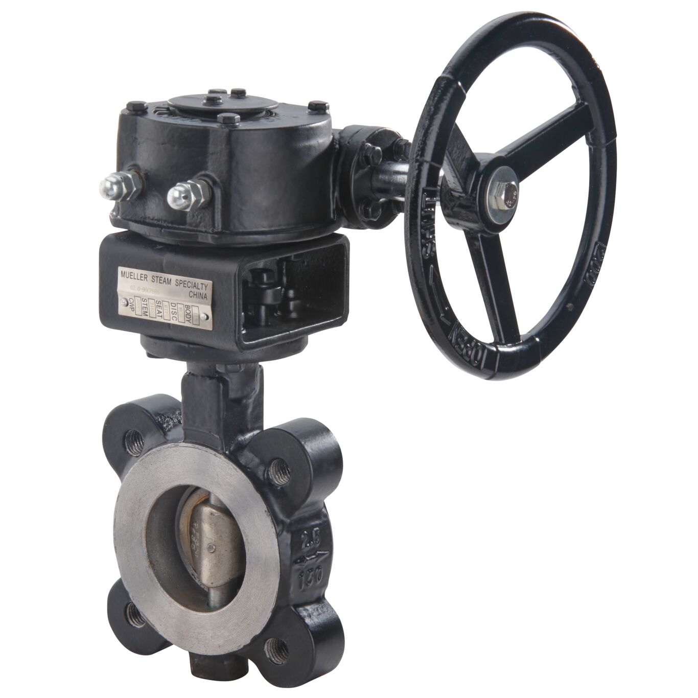 High Performance Butterfly valve angle view