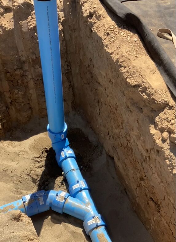 elk grove case study