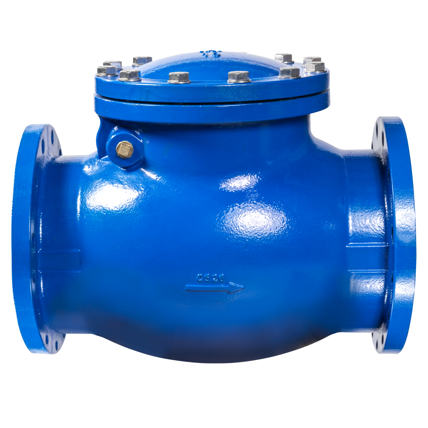 Swing_check_valve-10_0390040