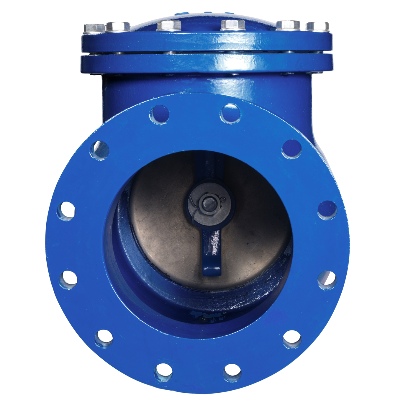 Swing_check_valve-10_0390040_end