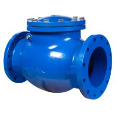 Swing_check_valve-10_0390040_angle
