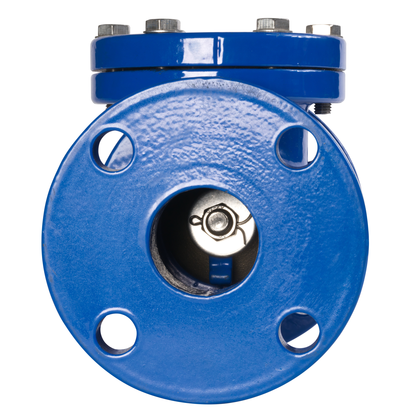 Swing_check_valve-2_0390010_end