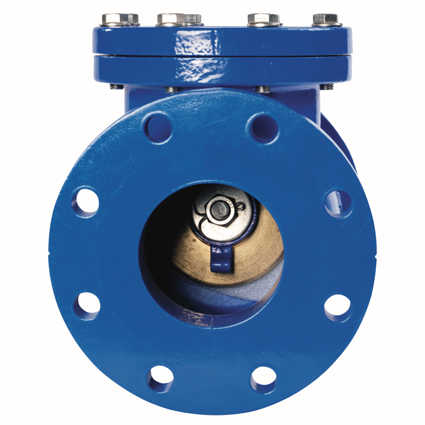 Swing_check_valve-6_0390030_end