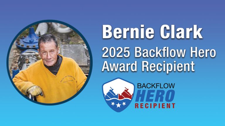 GR-BF-hero25-Bernie_1368x768