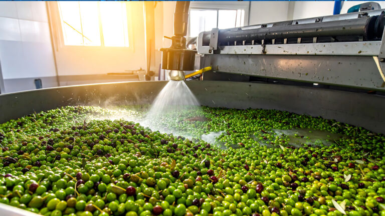 WWQ-RO_COMM-food-spray