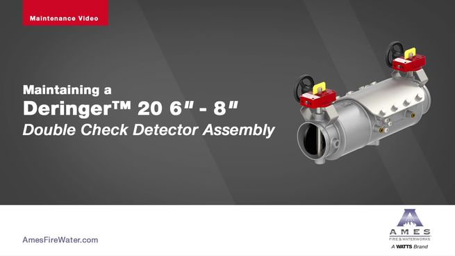 Deringer 20GX Double Check Backflow Preventer with OS&Y Gate Valves