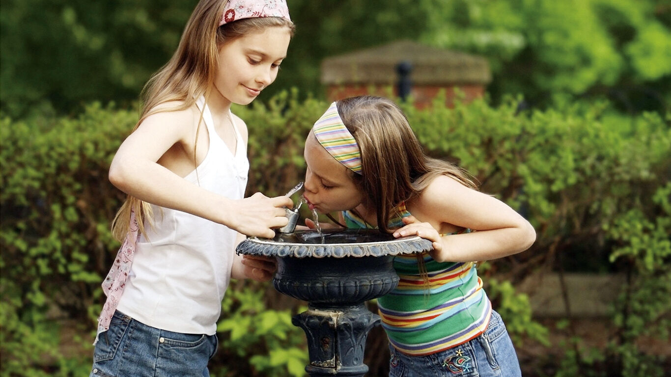 Disinfection Solutions